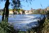 Presa para las Aceñas de Olivares. Están acabado con los árboles y las aves de los Pelambres